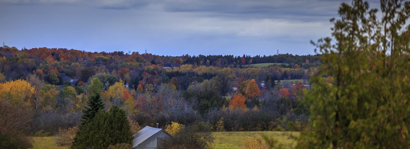 Lakefield personal injury lawyers