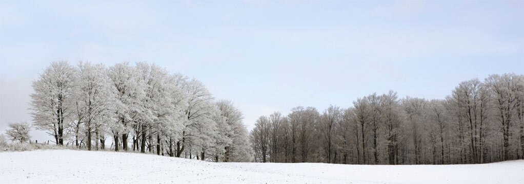 York Region personal injury lawyers